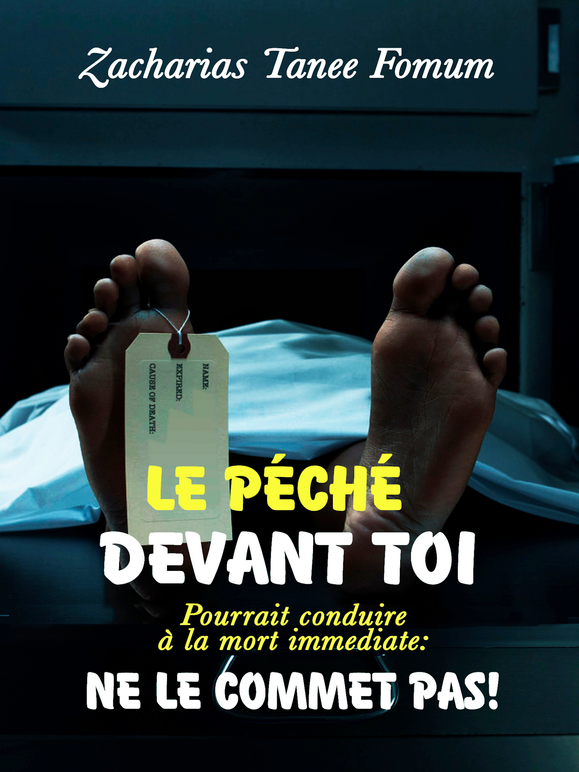 Le-peche-devant-toi..jpg