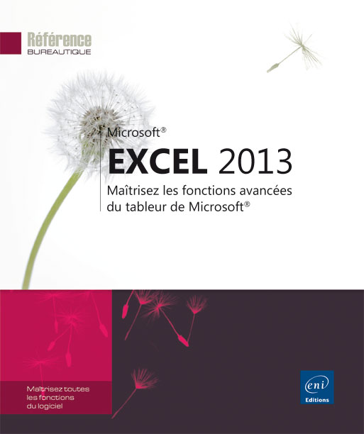 excel-2013-maitrisez-les-fonctions-avancees-du-tableur-de-microsoft-reg-9782746080218_XL.jpg